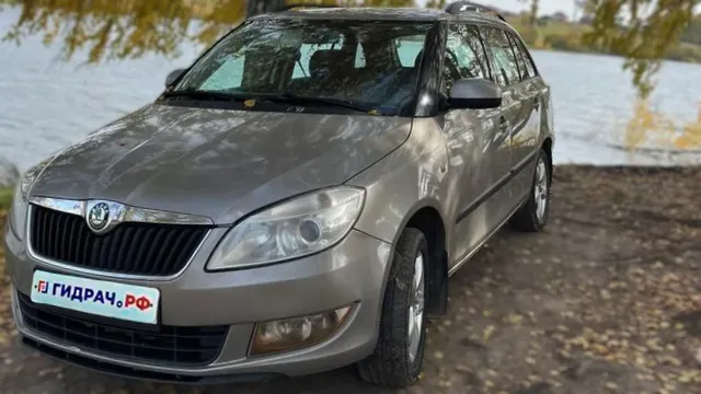 Автомобиль Skoda Fabia  в разборе