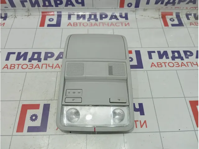 Плафон салонный Skoda Octavia (A7) 1K0947105PY20