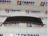 Решетка в бампер центральная Skoda Octavia (A5) 1Z0853677C