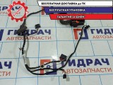 Проводка двери задней левой Skoda Rapid 5JH971161.