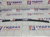 Накладка крышки багажника подсветки номера Skoda Superb (3T) 3T5827487E9B9