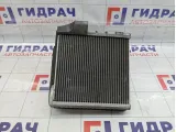 Испаритель кондиционера Skoda Superb (3T) 3C1820103D