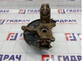 Кулак поворотный передний левый Skoda Superb (3T) 1K0407255AA