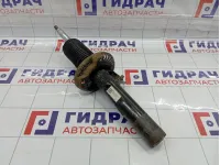 Амортизатор передний Skoda Superb (3T) 3C0413031BA