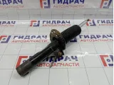 Амортизатор передний Skoda Superb (3T) 3C0413031BA