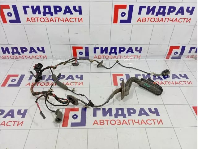 Проводка двери задней левой Skoda Superb (3T) 3T0971161H