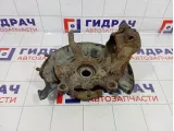 Кулак поворотный передний левый Skoda Superb (3T) 1K0407255AA