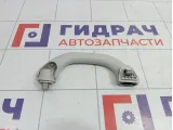 Ручка внутренняя потолочная передняя Skoda Yeti (5L) 5L6857607
