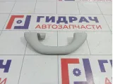 Ручка внутренняя потолочная задняя Skoda Yeti (5L) 5L6857607A