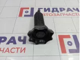 Болт крепления запасного колеса Skoda Yeti (5L) 1K0803899E