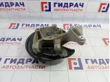 Кулак поворотный задний левый Skoda Yeti (5L) 3C0505433K