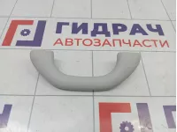 Ручка внутренняя потолочная Skoda Yeti (5L) 5L6857607HY20