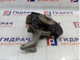 Кулак поворотный задний правый Skoda Yeti (5L) 3C0505434K