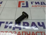 Кнопка блокировки дифференциала SsangYong Actyon New 8520034030LBA