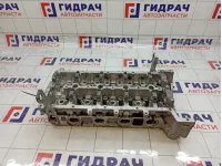 Головка блока SsangYong Actyon New 67101006C0