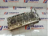 Головка блока SsangYong Actyon New 67101006C0