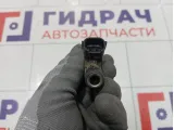 Форсунка инжекторная электрическая SsangYong Actyon New 1620783623