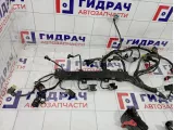 Проводка двигателя Ssang Yong Actyon New 6711504133