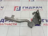 Петля капота правая Ssang Yong Actyon New 6182034001