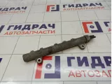 Рейка топливная (рампа) Ssang Yong Actyon New 6710700195