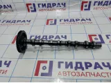 Распредвал выпускной SsangYong Actyons Sport 6640501001