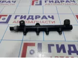 Рейка топливная SsangYong Actyons Sport 6640700195