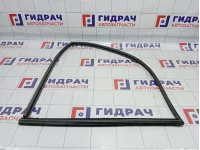 Уплотнитель стекла двери передней правой SsangYong Actyon Sports7238109000