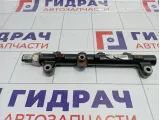 Рейка топливная (рампа) SsangYong Actyon Sports 6640700195