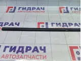 Молдинг двери передней правой SsangYong Actyon Sports 7952609000