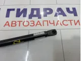 Амортизатор крышки (двери) багажника SsangYong Actyon Sports 7145009000