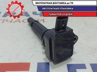 Катушка зажигания Ssang Yong Actyon New 1721580103.