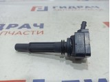 Катушка зажигания Ssang Yong Actyon New 1721580103.