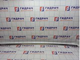Молдинг крыши левый Suzuki SX4 78140-79J10.