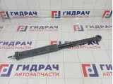 Амортизатор задний Suzuki Swift 4180063J02