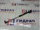 Амортизатор крышки (двери) багажника левый Suzuki Swift 8180063821