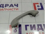 Ручка внутренняя потолочная Suzuki Swift (RS) 76410-55G02-6GS