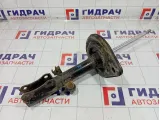 Амортизатор задний левый Toyota Camry (XV40) 4854039755