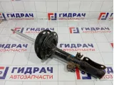 Амортизатор задний правый Toyota Camry (XV40) 4853089025