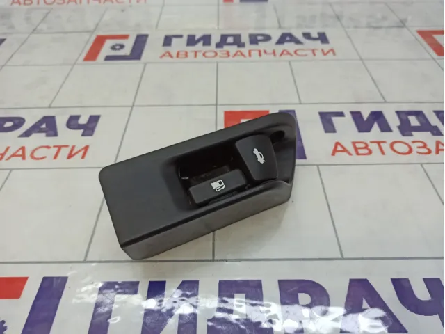 Ручка открывания багажника Toyota Camry (XV40) 6460633030