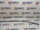Молдинг крыши левый Toyota Camry 7555633050