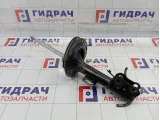 Амортизатор передний правый Toyota Camry (XV50) 4851033640