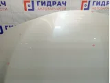 Капот Toyota Camry (XV70) 5330106380