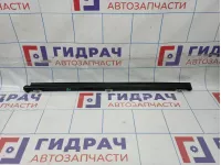 Уплотнитель стекла двери задний левый Toyota Camry (XV40) 68174-33060