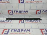 Уплотнитель стекла двери задний правый Toyota Camry (XV40) 68173-33060