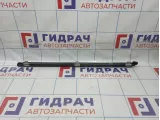 Уплотнитель стекла двери задний правый Toyota Camry (XV40) 68173-33060