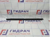 Уплотнитель стекла двери задний правый Toyota Camry (XV40) 68173-33060