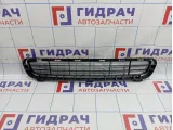 Решетка в бампер центральная Toyota Camry (XV40) 53112-33030