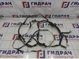 Проводка двери багажника Toyota Camry (XV40) 82181-33180