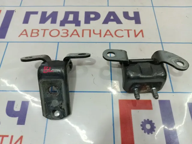 Петли двери задней левой Toyota Corolla (E120)