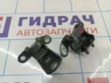 Петли двери задней левой Toyota Corolla (E120)